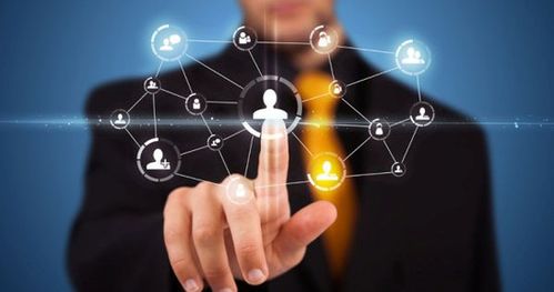 藍奧信息 突破招商困局，賦能招商技巧的信息技術咨詢服務